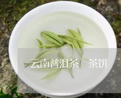 云南普洱茶 茶饼/2023031762837